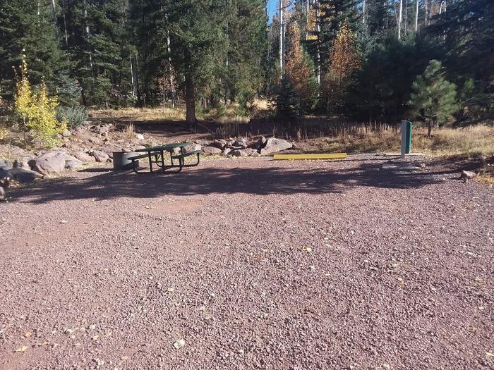 Site 54 with a picnic table, a campfire ring, water and electric hookups, and parking.