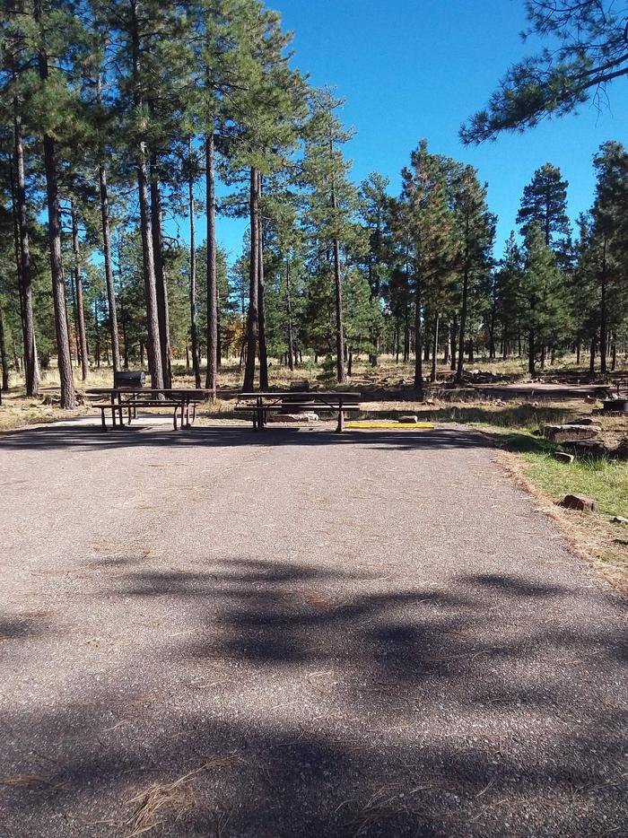 View of Crook Campground Site 13: shows standing grill, fire pit, two picnic tables, parking spotCrook Campground Site 13 Loop A