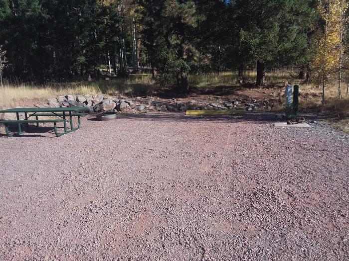 Site 59 with water and electric hookups, a picnic table, campfire ring, and parking available.
