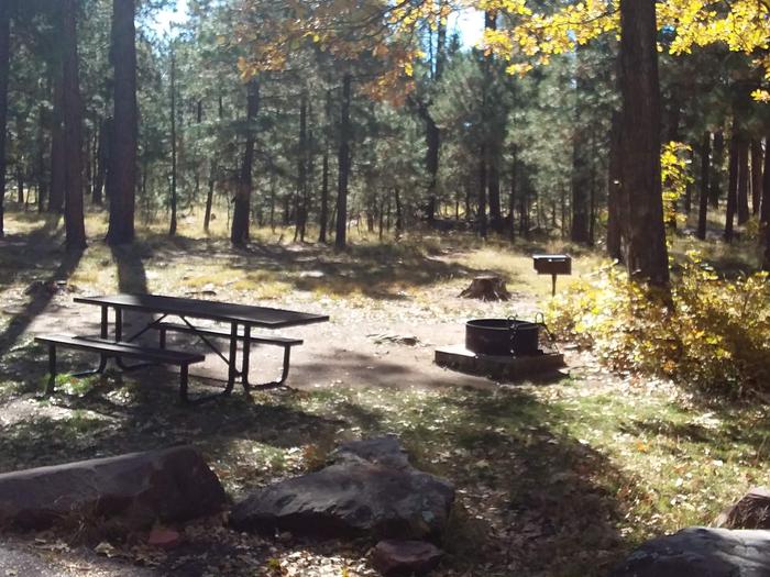 Site 20 with picnic table, campfire ring, and trees surrounding it.Campsite 20 has a table area, campfire, and grill.
