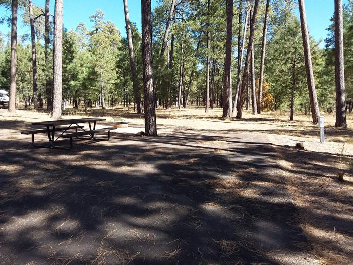 Loop A Site 16 with picnic table, fire ring, and electrical hookup