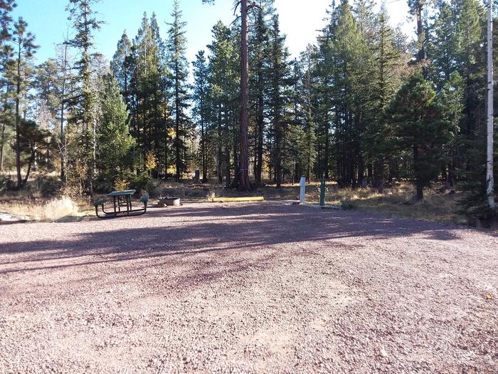 Site 67 with water and electric hookups, a picnic table, fire ring, and an available parking spot.