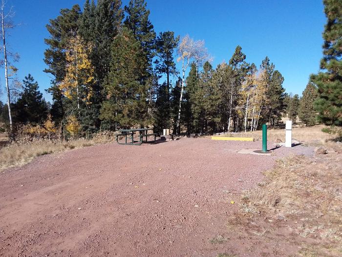 Site 68 with a picnic table, campfire ring and parking, as well as water and electric hookups.