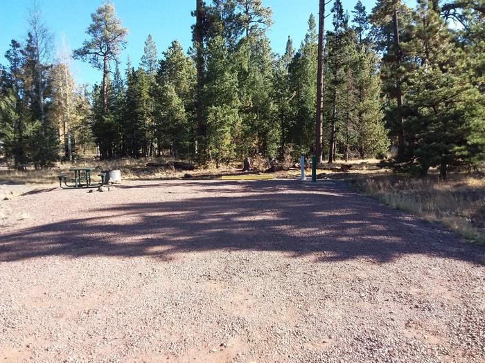 Site 69 with a picnic table, fire ring, water and electric hookups, and a parking spot.