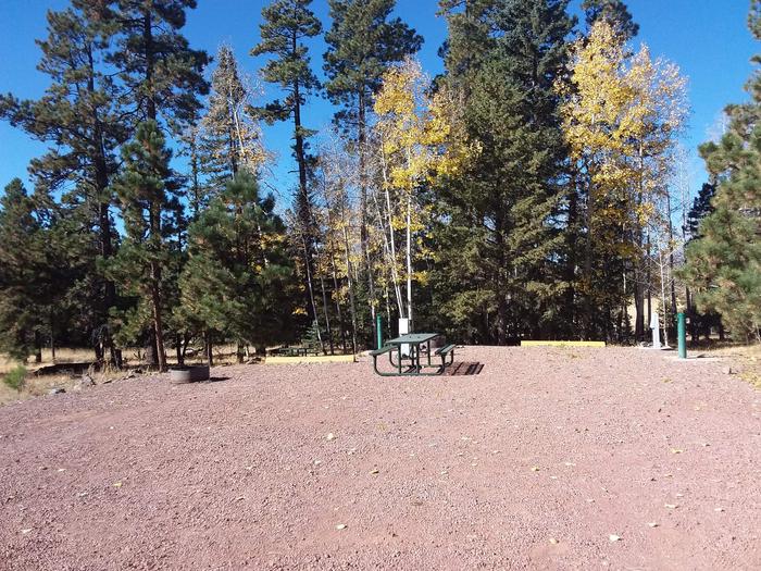 Site 73 & 74 with picnic tables, fire rings, parking, and hookups for water and electricity.