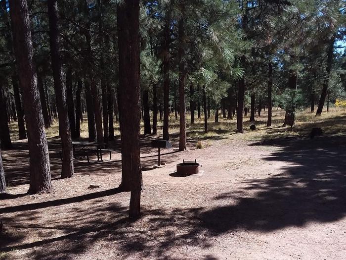 Loop A Site 25 with picnic table, fire ring and grill