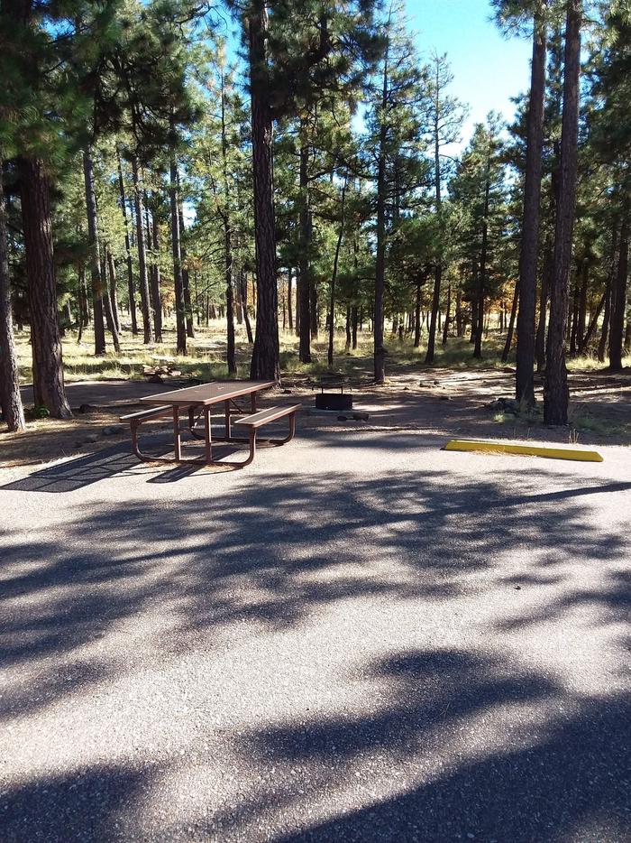 View of Crook Campground Site 16 Loop B: picnic table, fire pit, parking spaceCrook Campground Site 16 Loop B