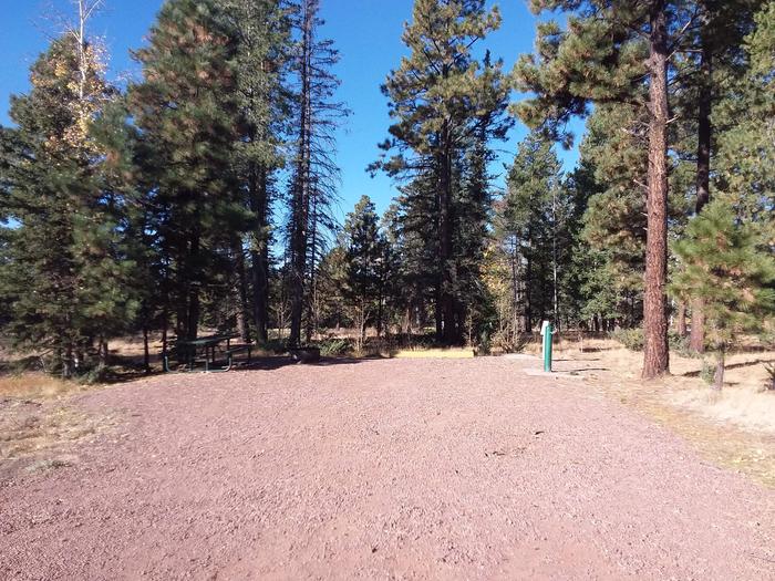 Site 79 with parking, a picnic table, fire ring, and available hookups for water and electricity.