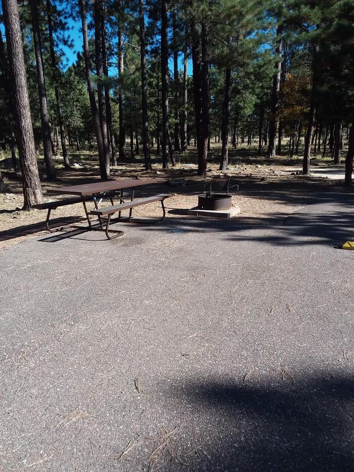 Crook Campground Site 18 Loop B: picnic table, fire pitCrook Campground Site 18 Loop B