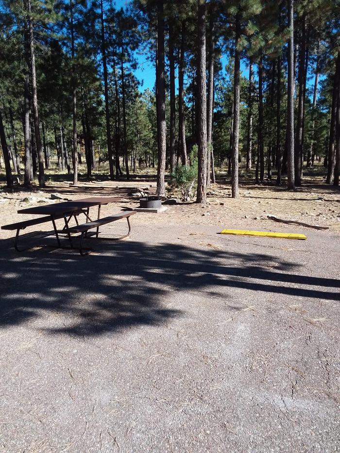 View of Crook Campground Loop B: picnic table, fire pit, parking spaceCrook Campground Site 19 Loop B