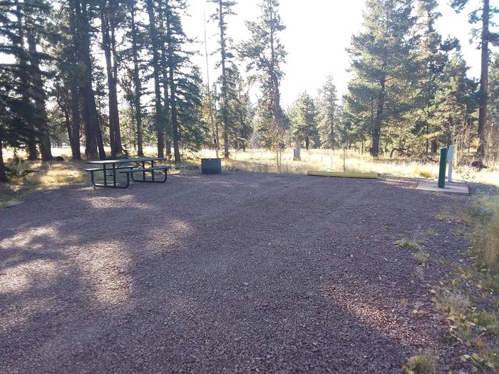 Site 80 with water and electric hookups, a picnic table, a fire ring, and a parking space.