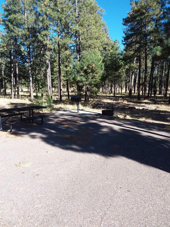 Crook Campground Site 20 Loop B: standing grill, fire pit, picnic table, and parking areaCrook Campground Site 20 Loop B