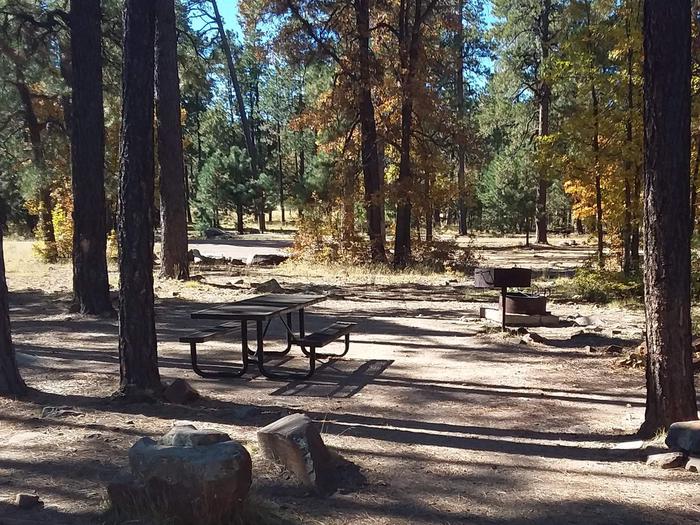 Site 28 with campfire ring, picnic table, some rocks, and trees.Campsite 28 has campfires as well as a grill, along with a picnic table.