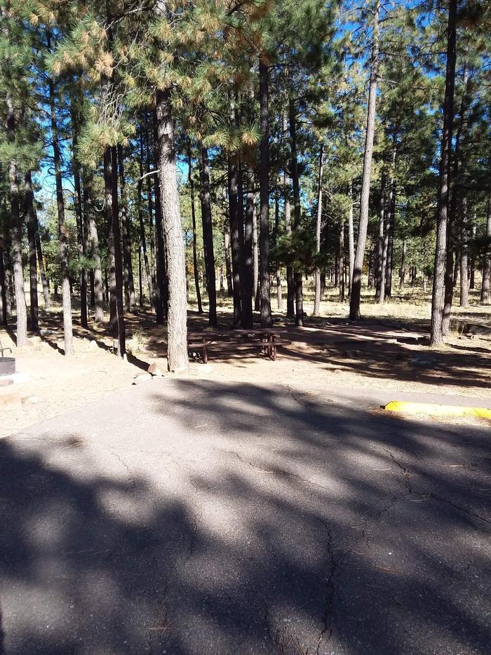 View of Crook Campground Site 21 Loop B: picnic table, fire pit (lower left in photo), and parking spaceCrook Campground Site 21 Loop B