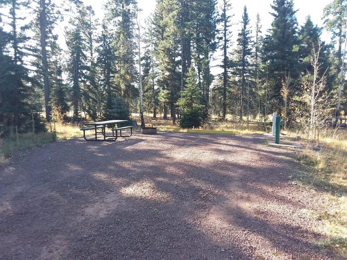 Site 83 with a picnic table, fire ring, parking, and hookups for water and electricity.