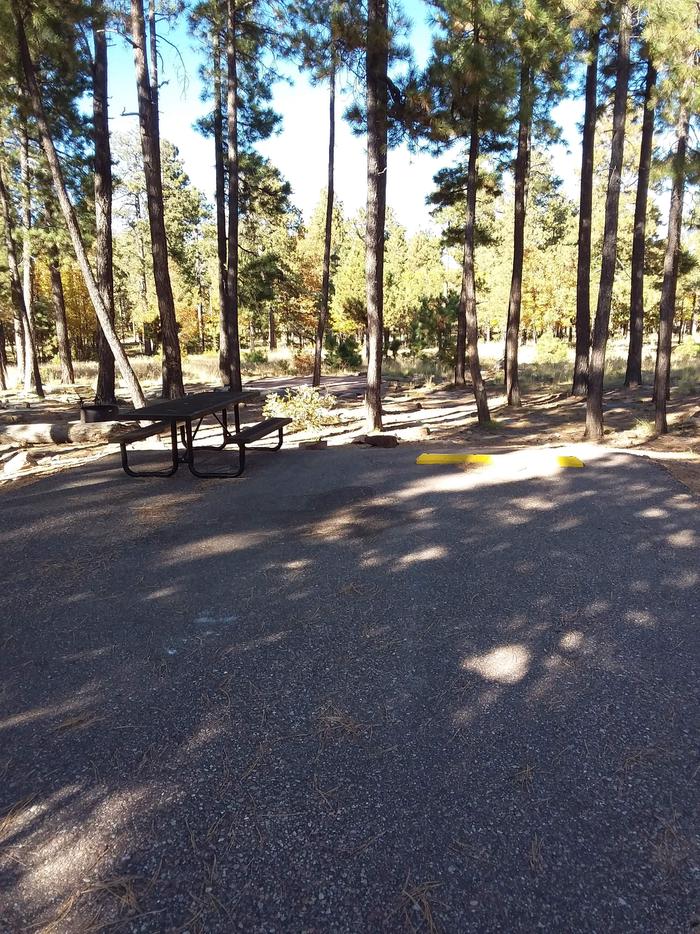 View of Crook Campground Site 23 Loop B: picnic table, open fire pit, and parking areaCrook Campground Site 23 Loop B