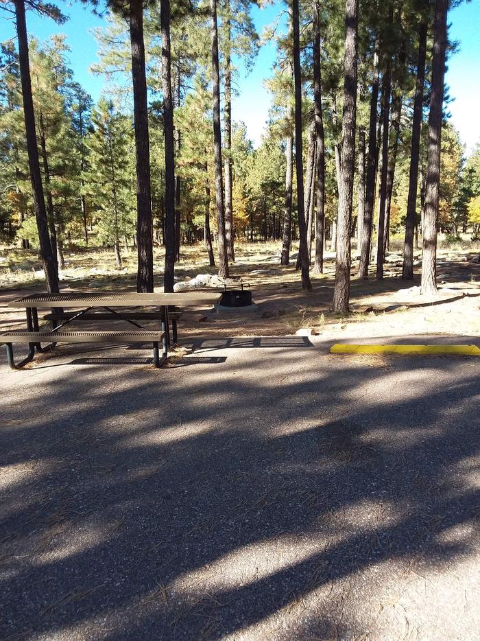 View of Crook Campground Site 24 Loop B: picnic table, fire pit, parking areaCrook Campground Site 24 Loop B