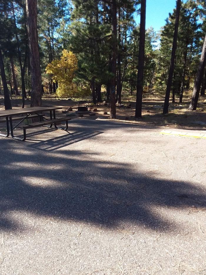 View of Crook Campground Site 25 Loop B: picnic table, fire pit, small seating placementsCrook Campground Site 25 Loop B