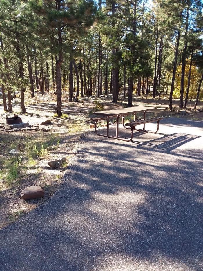 View of Crook Campground Site 26 Loop B: open fire pit, and picnic tableCrook Campground Site 26 Loop B