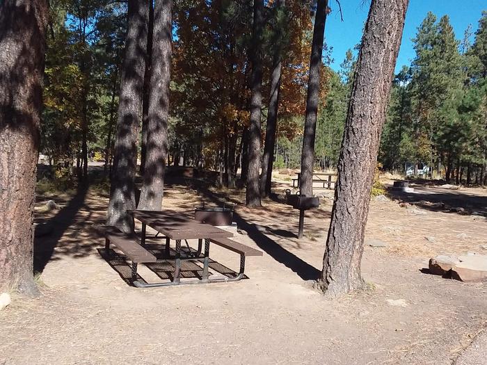 Site 29 with visible table in front of campfire ring, grill, and trees.Campsite 29 includes the table, grill, and campfire ring.