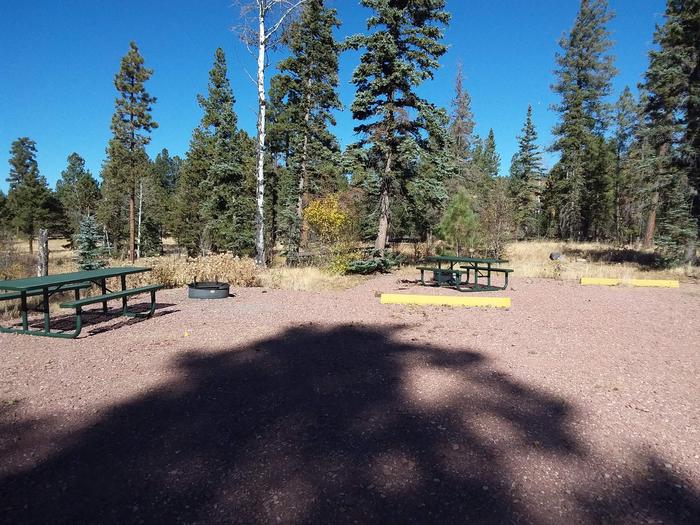 Site 88 & 89 with campfire rings, tables, and parking spaces.