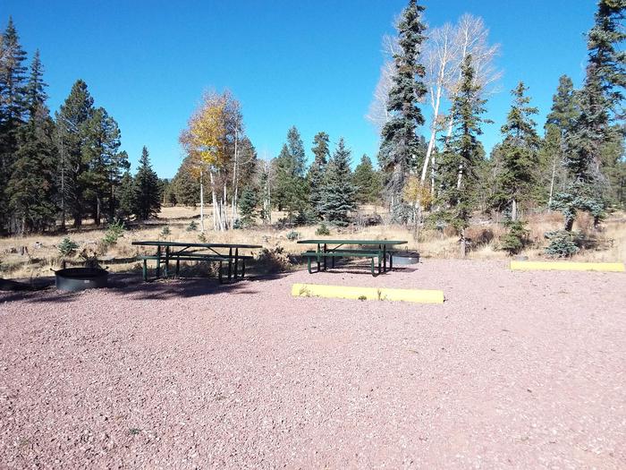 Site 90 & 91 with picnic tables, fire rings, and parking spaces.