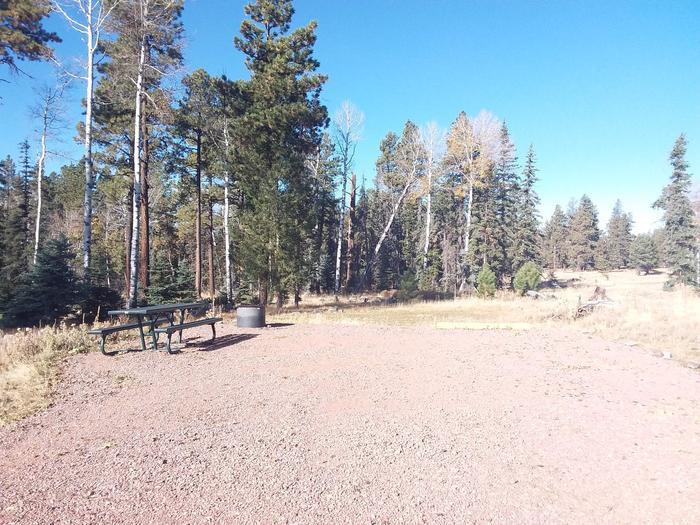 Site 92 with a picnic table, fire ring, and parking area.