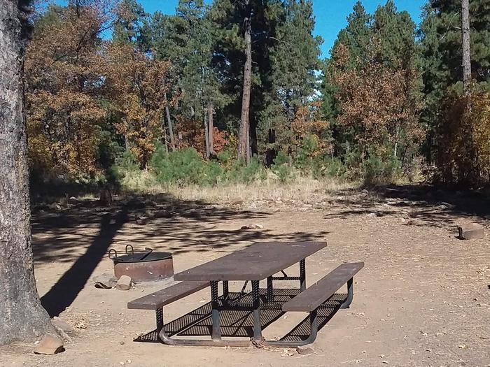 Site 30 with a Campfire grill and table in front of vegetation and treesCampsite 30 has a picnic table and a campfire ring/grill. 