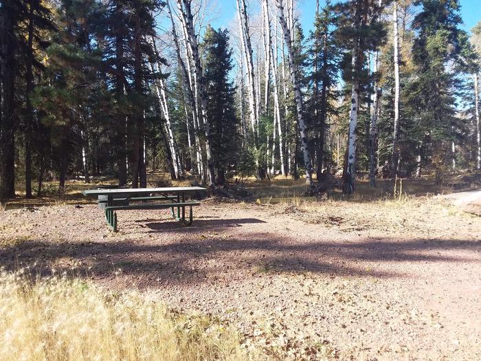 Site 95 with a campfire ring, picnic table, and parking.