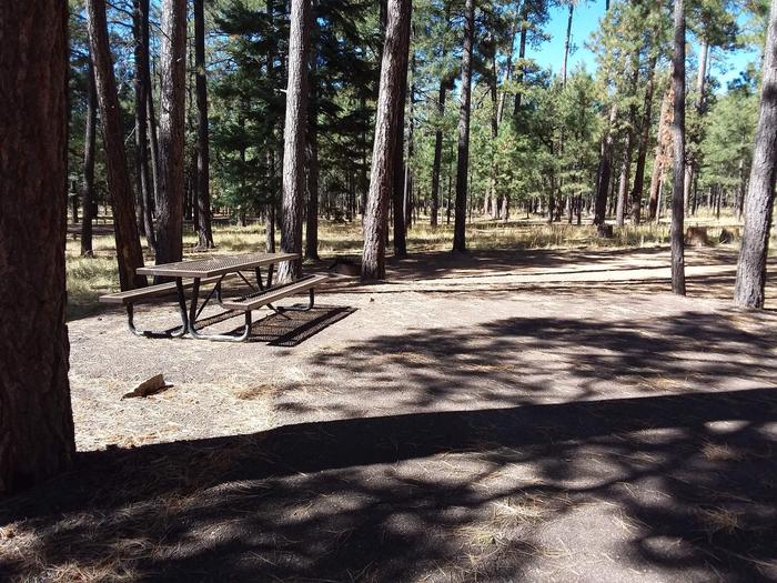 Loop B Site 48 with picnic table and fire ring