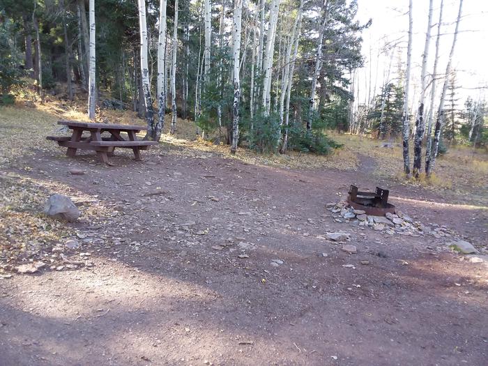 Cutthroat Campground Site 002 - picnic table and fire pit
