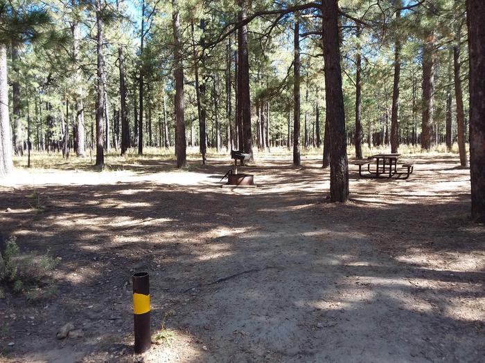 Loop B Site 54 with picnic table, grill and fire ring
