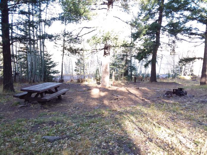 Cutthroat Campground Site 003 - picnic table and fire pit.Cutthroat Campground Site 003 