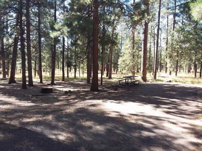 Loop B Site 57 with picnic table and fire ring