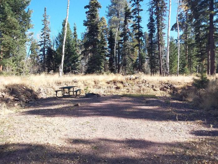 Site 106 with a picnic table, parking space, and campfire ring.