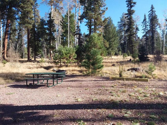 Site 107 with a picnic table, parking space, and a campfire ring.