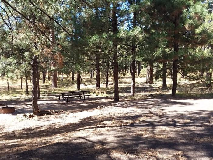 Loop B Site 59 with picnic table and fire ring