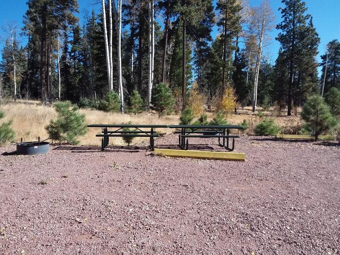 Site 108 & 109 with picnic tables, parking spaces, and campfire rings.
