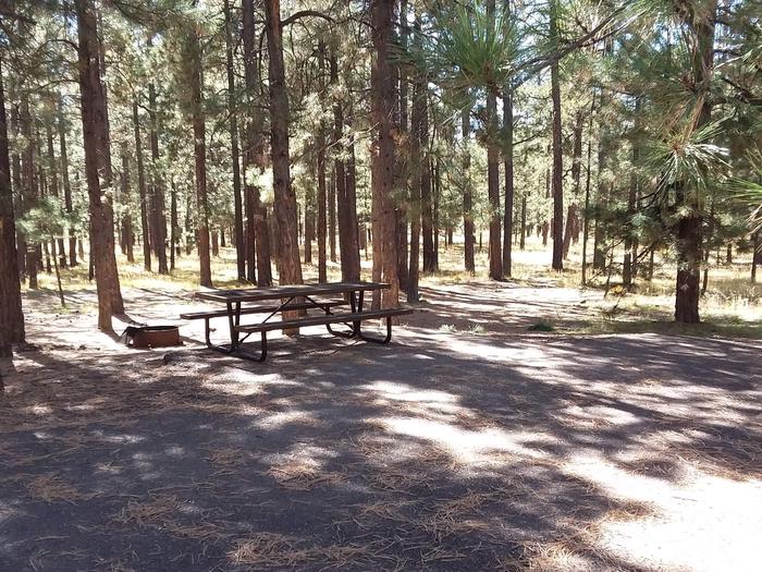 Loop B Site 61 with picnic table and fire ring