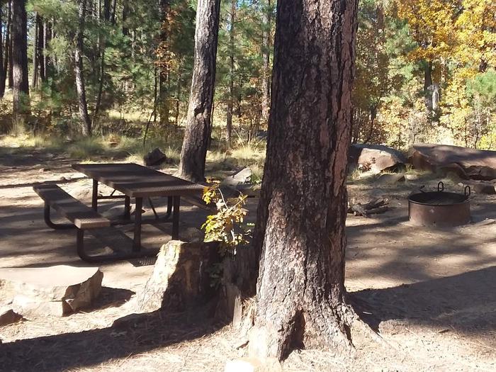 Site 35 with table, rocks, and trees next to the campfire ring.Campsite 35 has a campfire ring and picnic table.