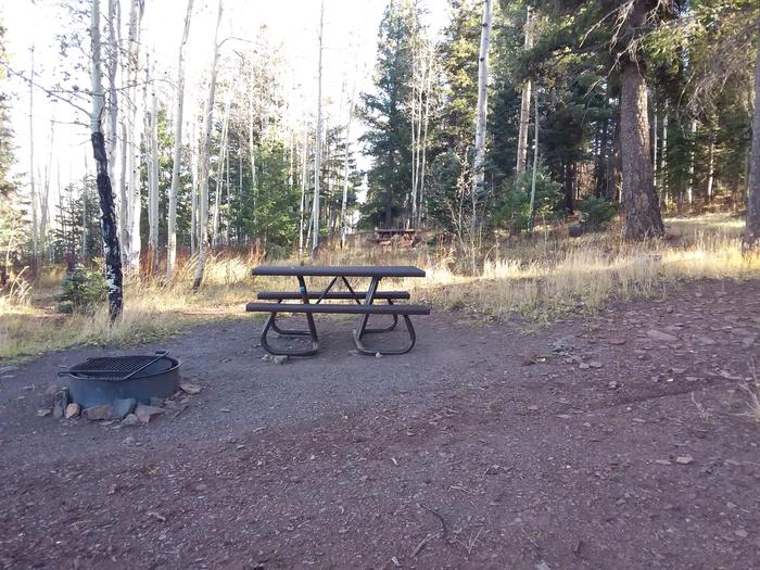 Cutthroat Campground Site 006 - picnic table and fire pitCutthroat Campground Site 006 