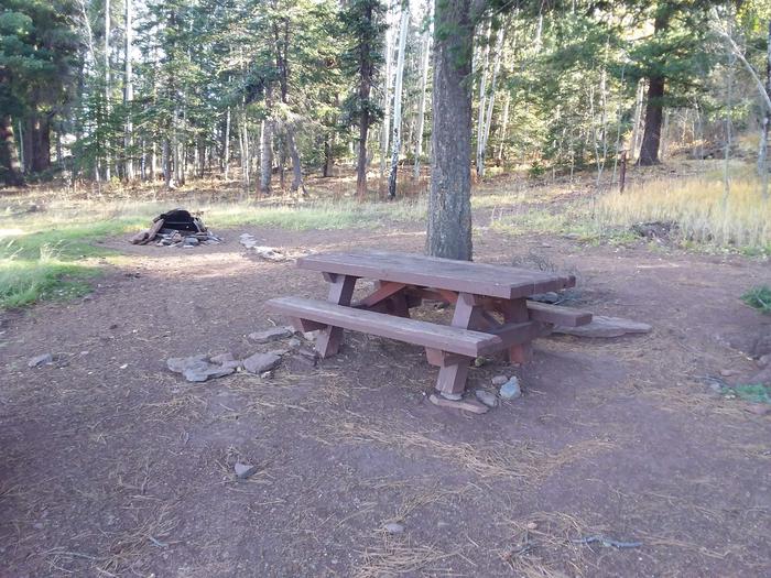 Cutthroat Campground Site 007 - picnic table and fire pitCutthroat Campground Site 007