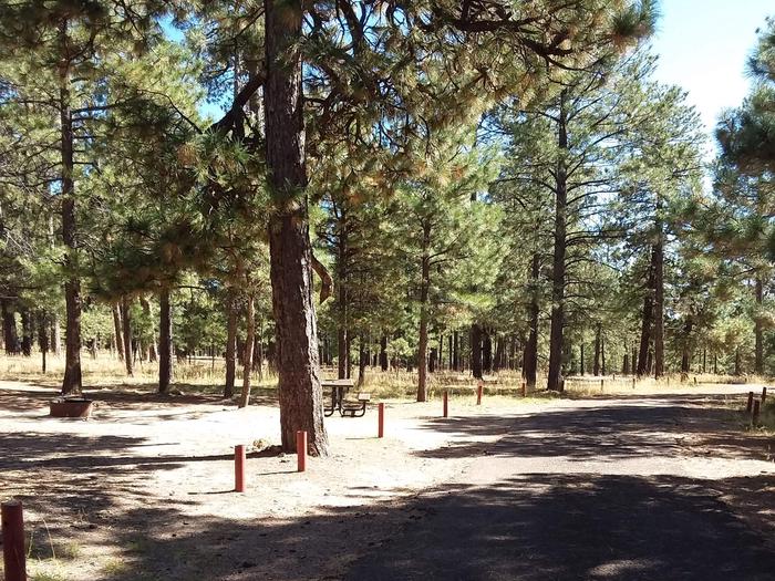Loop B Site 68 with picnic table and fire ring