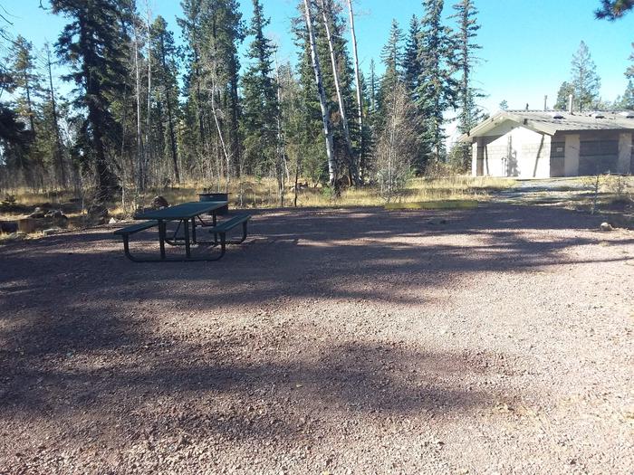 Site 111 with a picnic table, parking space, and campfire ring.