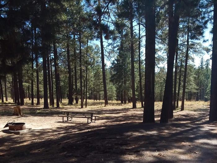 Loop B Site 73 with picnic table and fire ring