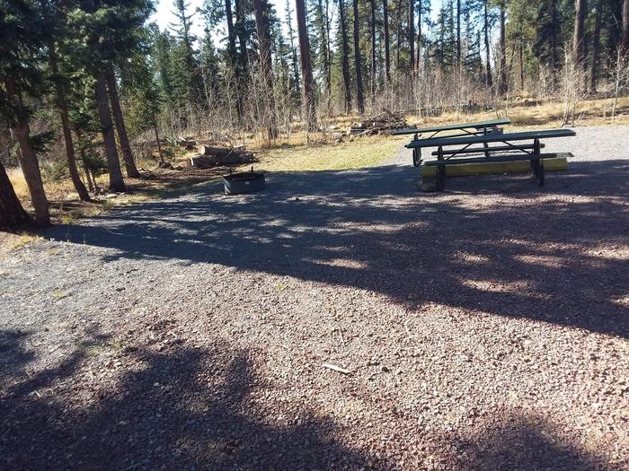 Site 113 with a picnic table, parking space, and a campfire ring.