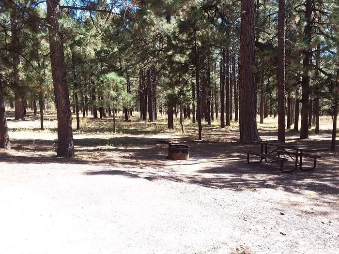 Loop B Site 75 with picnic table and fire ring
