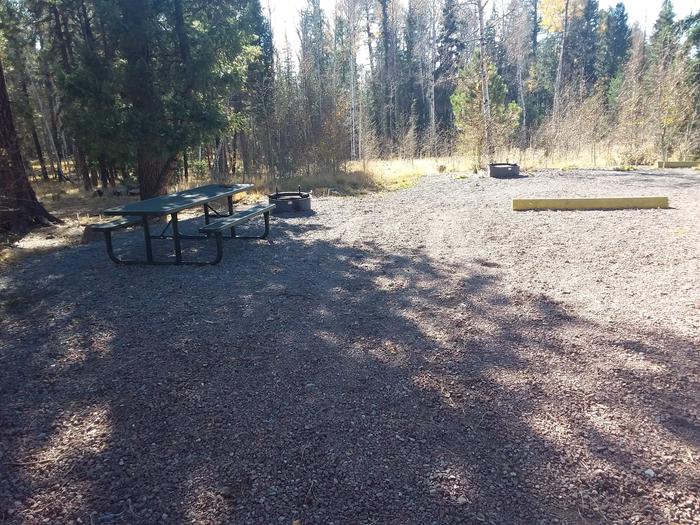 Site 115 with a picnic table, parking space, and a campfire ring.