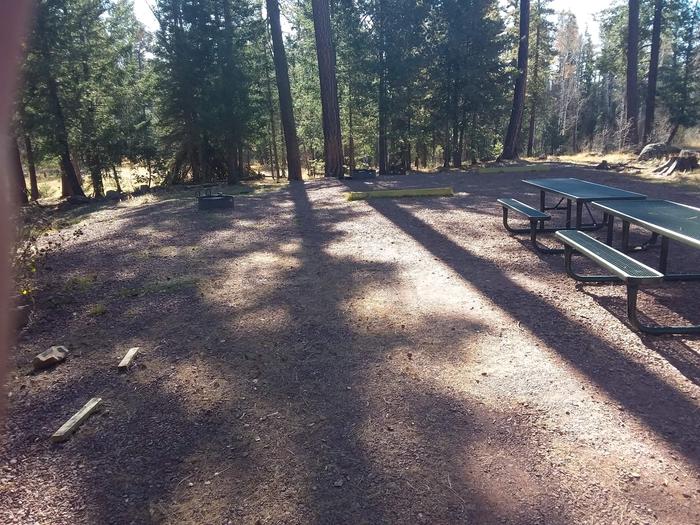 Site 117 with picnic tables, parking space, and campfire rings.