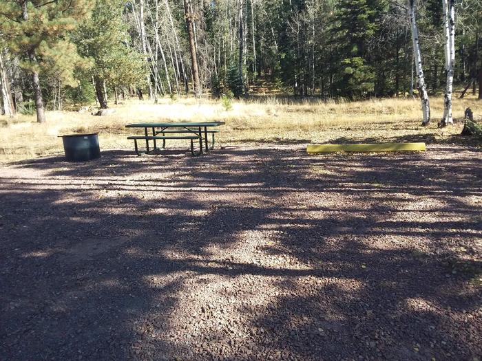 Site 120 with a picnic table, parking space, and a campfire ring.
